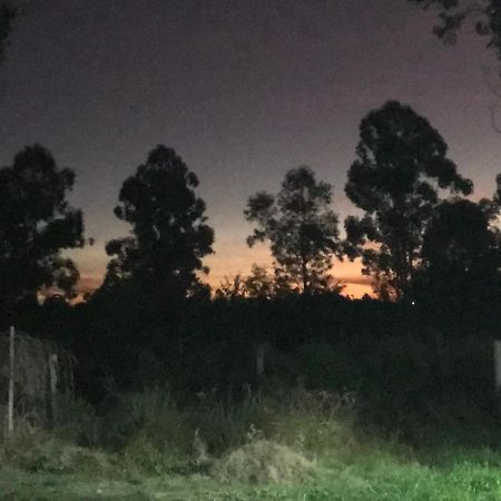 Campo Verde コンコルディア エクステリア 写真