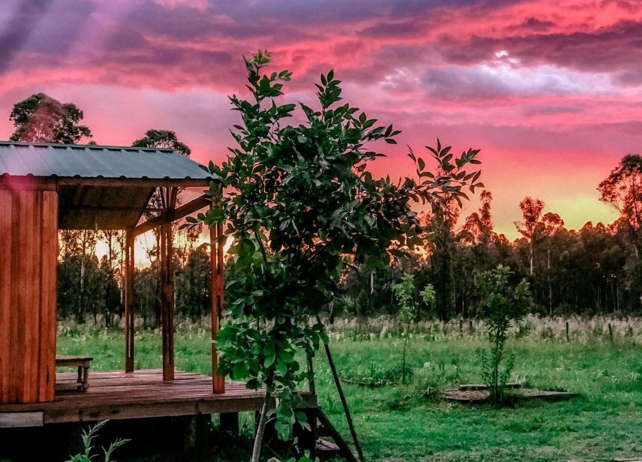 Campo Verde コンコルディア エクステリア 写真