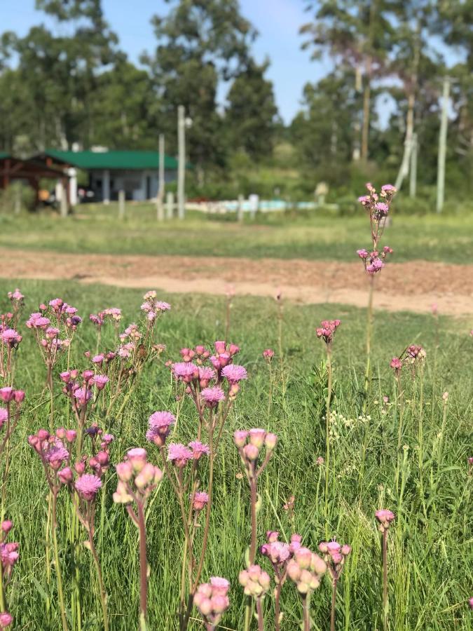 Campo Verde コンコルディア エクステリア 写真